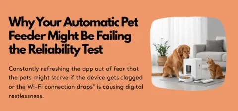 Why Can't Automatic Pet Feeders Give Confidence? 